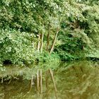 Canal de la Bruche, Elsass,Frankreich