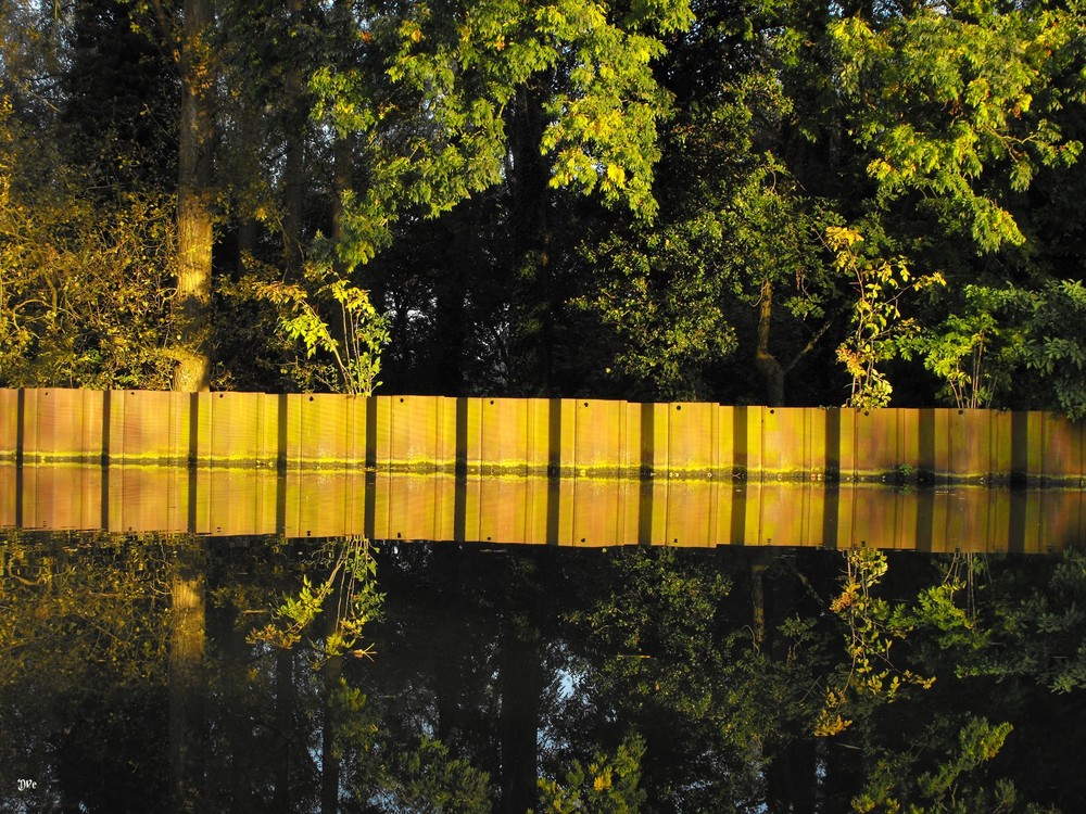 Canal de la Dendre octobre 08