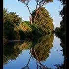 Canal de la Robine