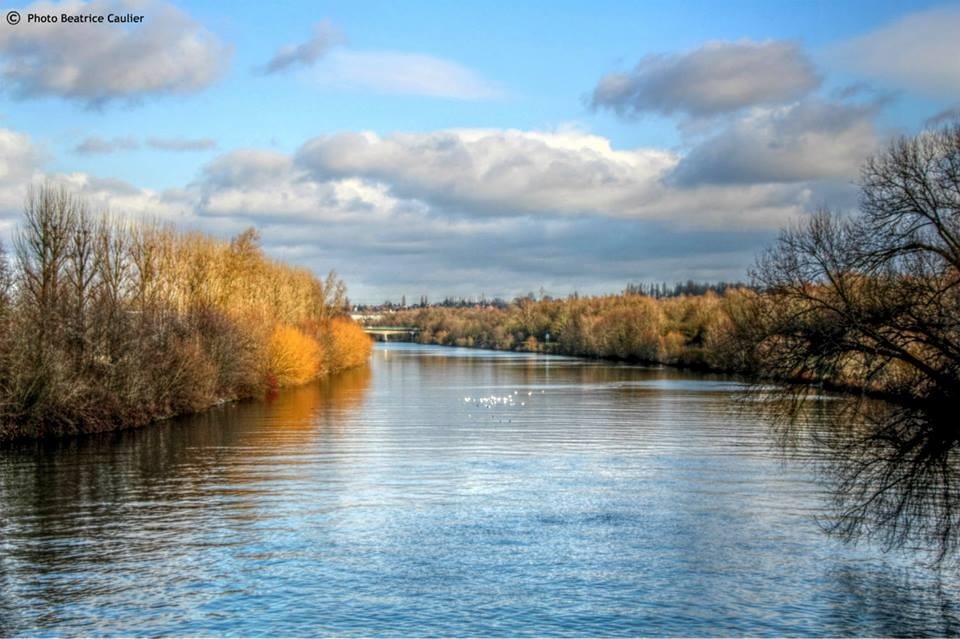 Canal de l'Escaut