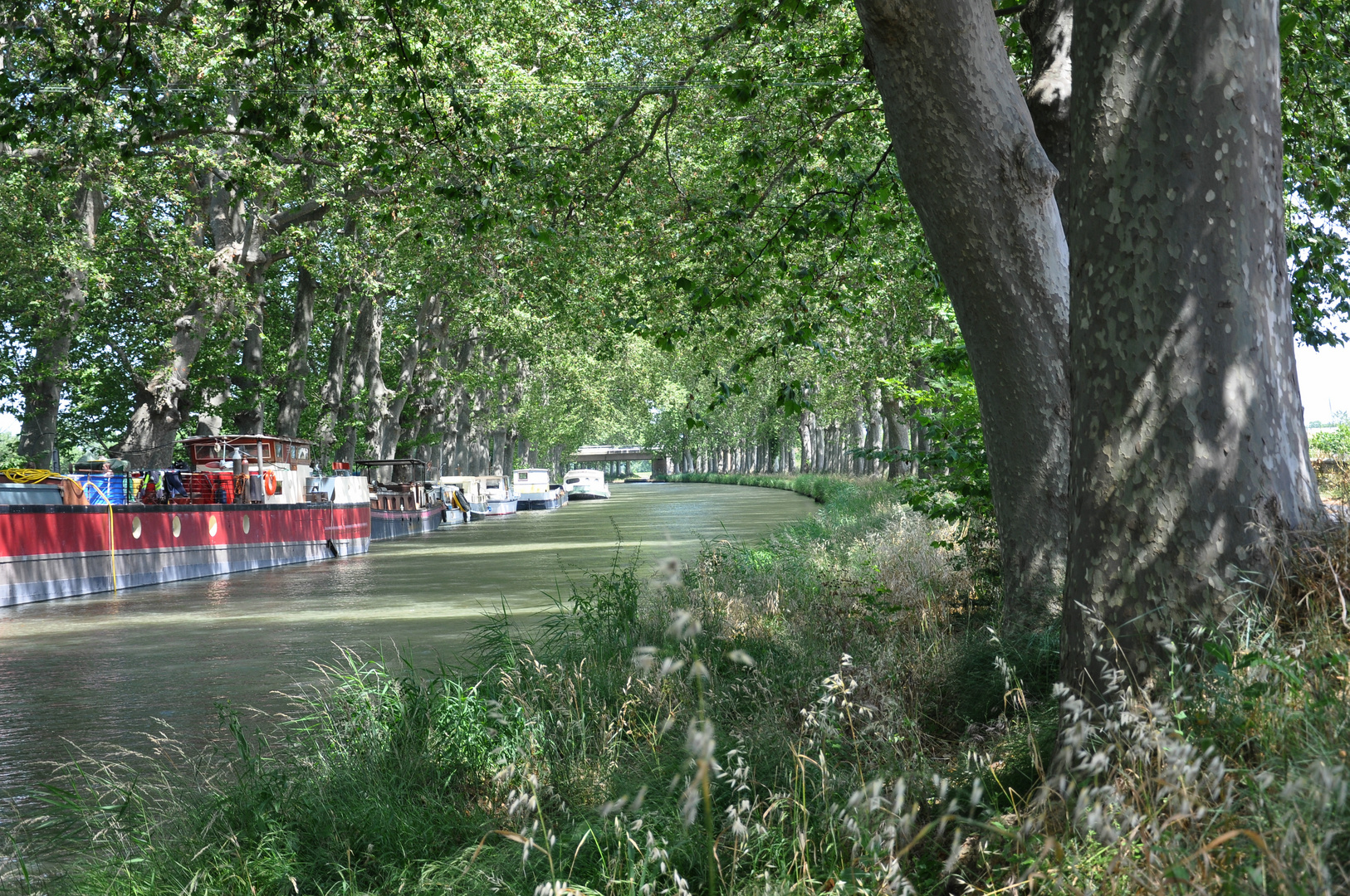 Canal de Midi ( Südfrankreich bei Beziers)