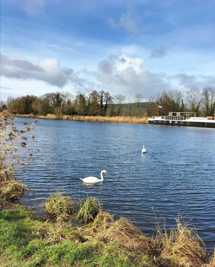 Canal de Montigny-lès-Metz 