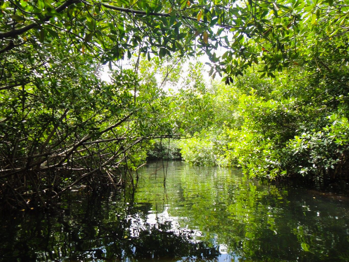 Canal de Morrocoy