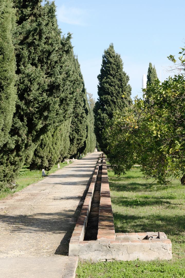 canal de riego. herencia árabe