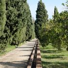 canal de riego. herencia árabe