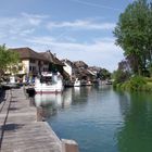 Canal de Savière, Chanaz, Savoie