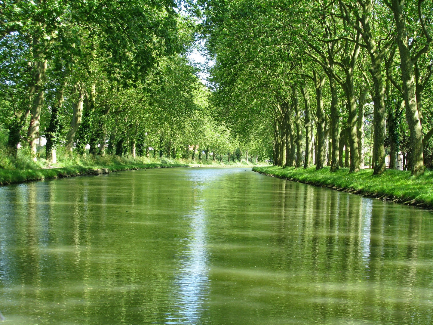 Canal del Mediodía en primavera