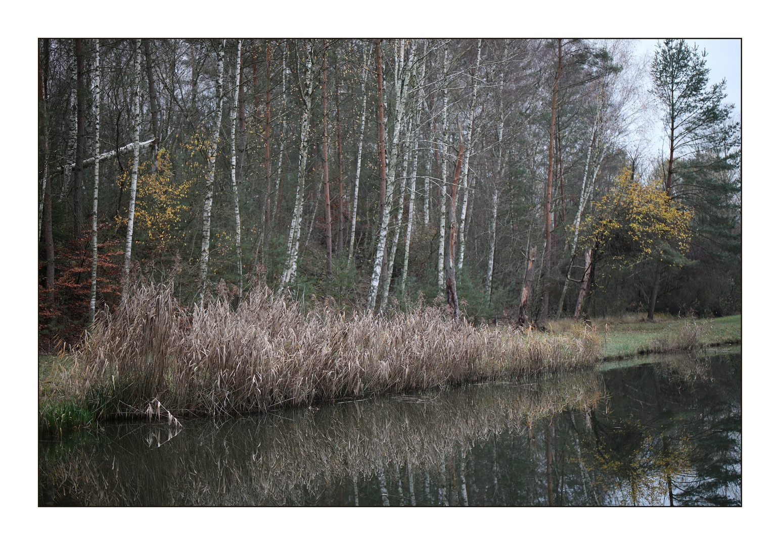 canal des houillères de la sarre II