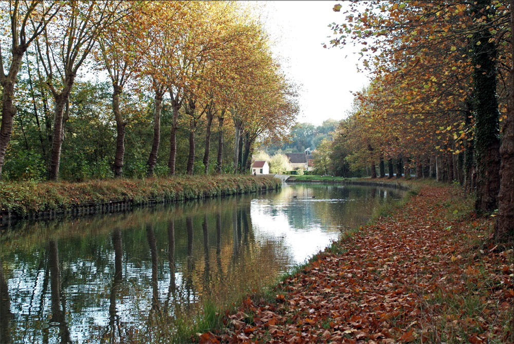 Canal du Loing