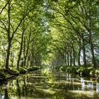 Canal du Midi