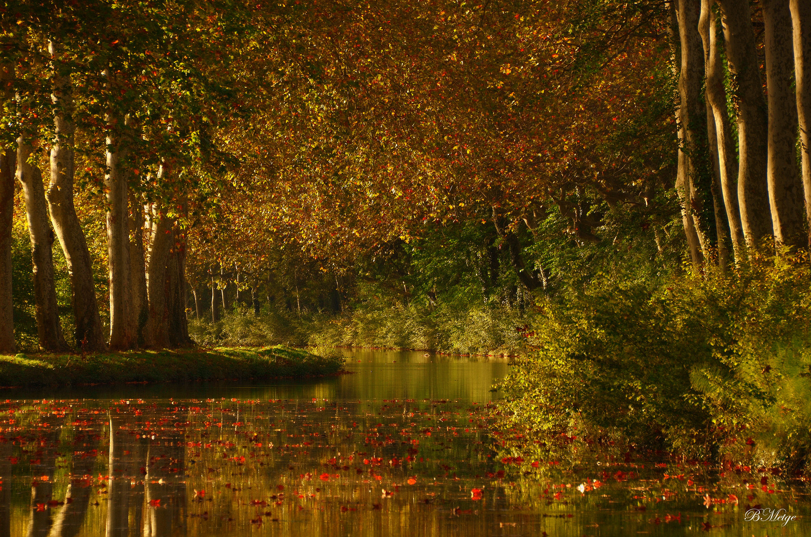 canal du midi