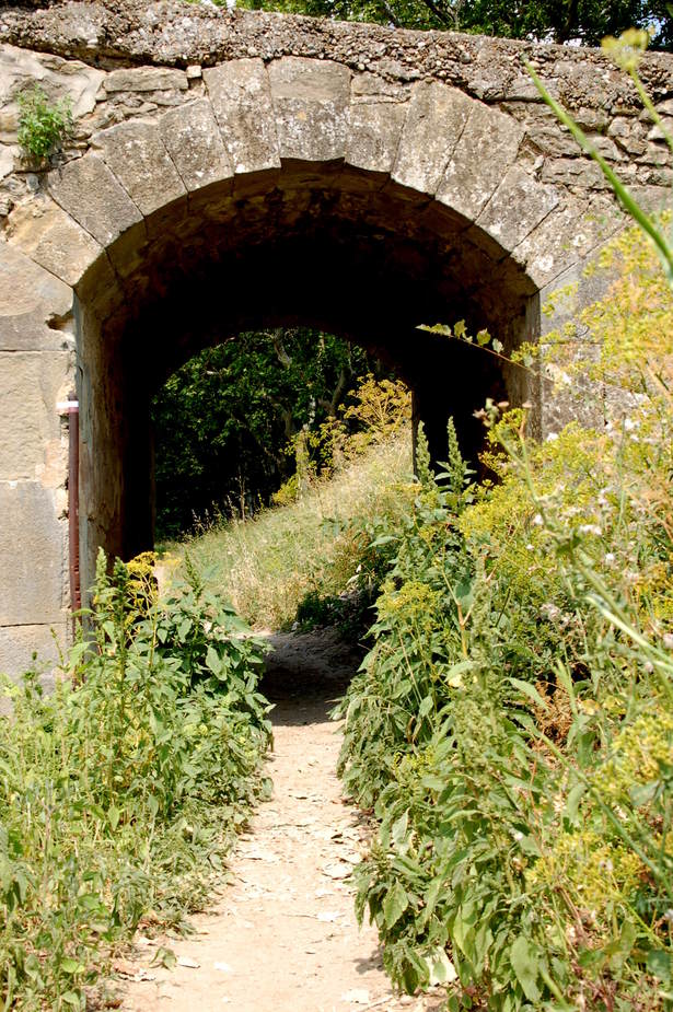 Canal du Midi - 3