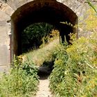 Canal du Midi - 3