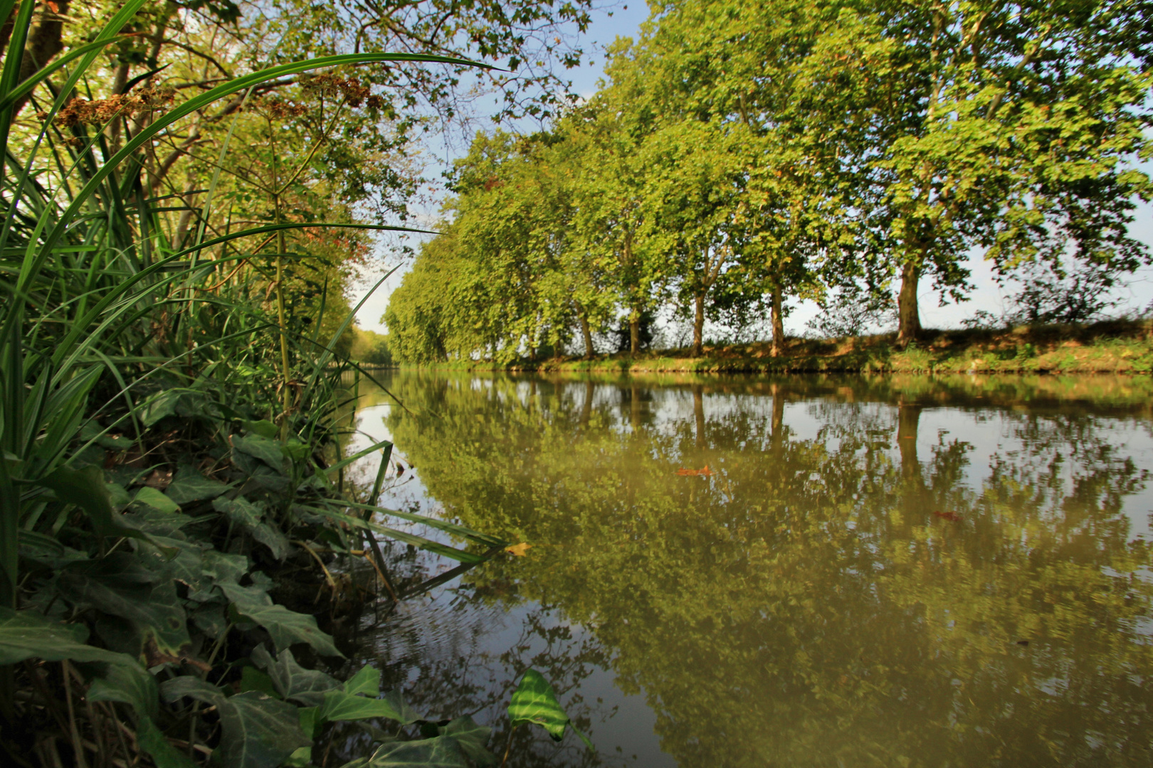 Canal du Midi