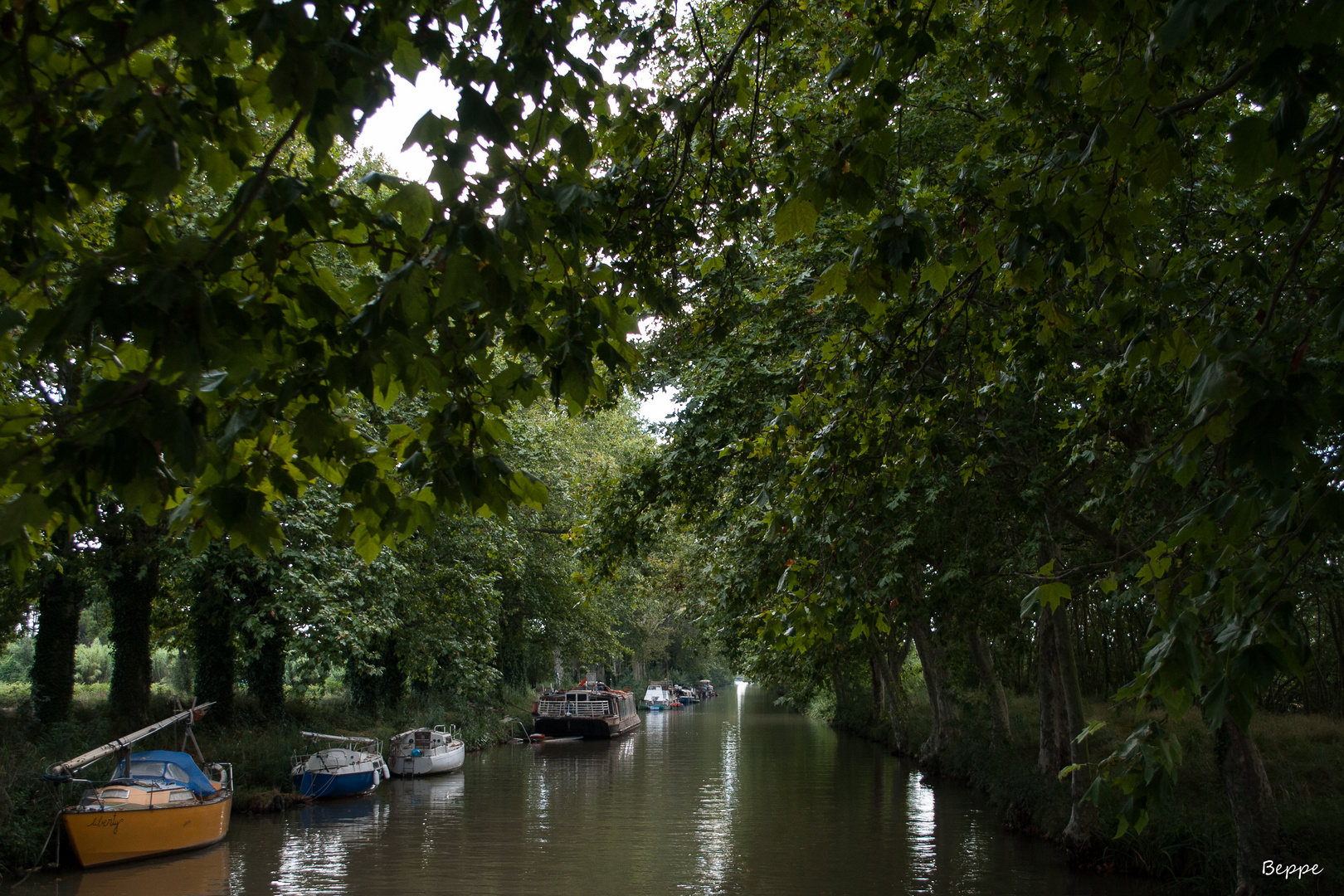 Canal du Midi