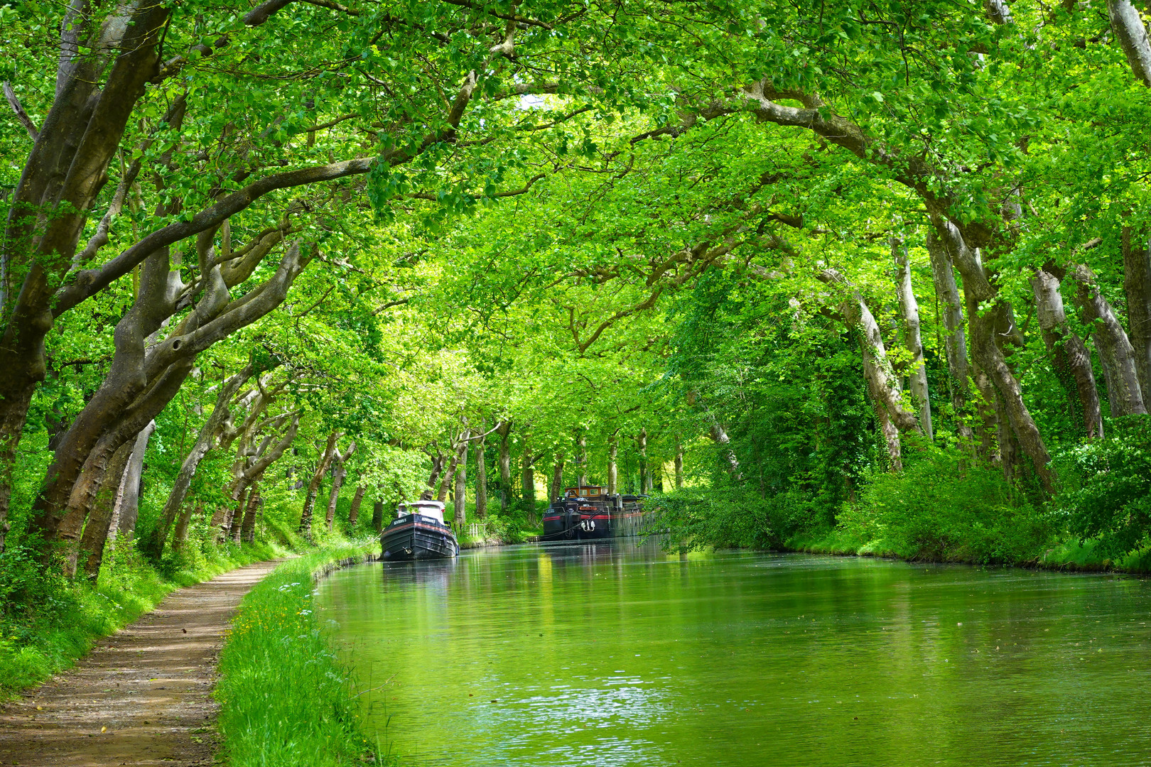 Canal du Midi.