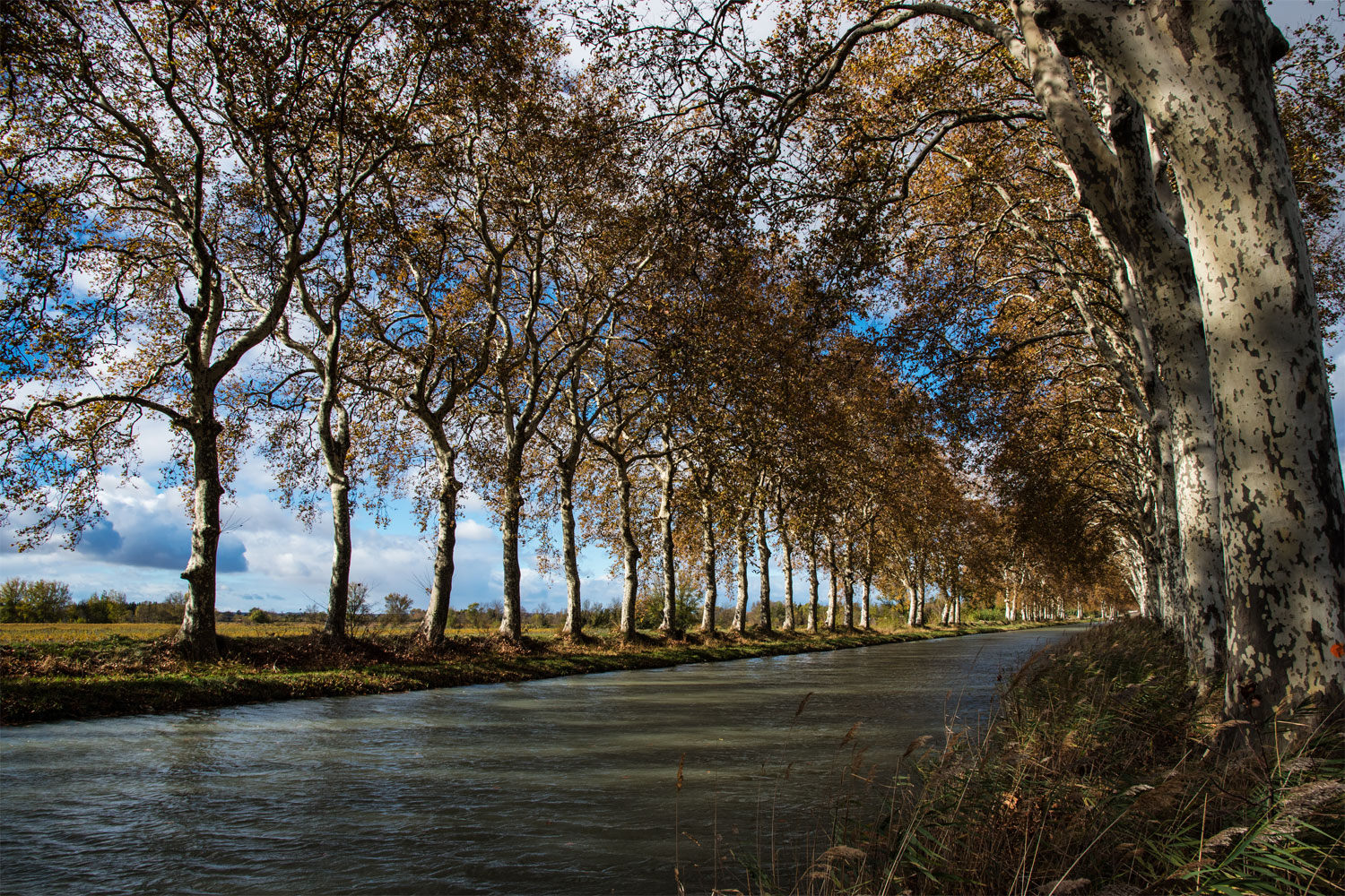 Canal du Midi