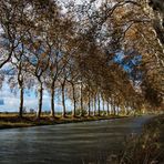 Canal du Midi