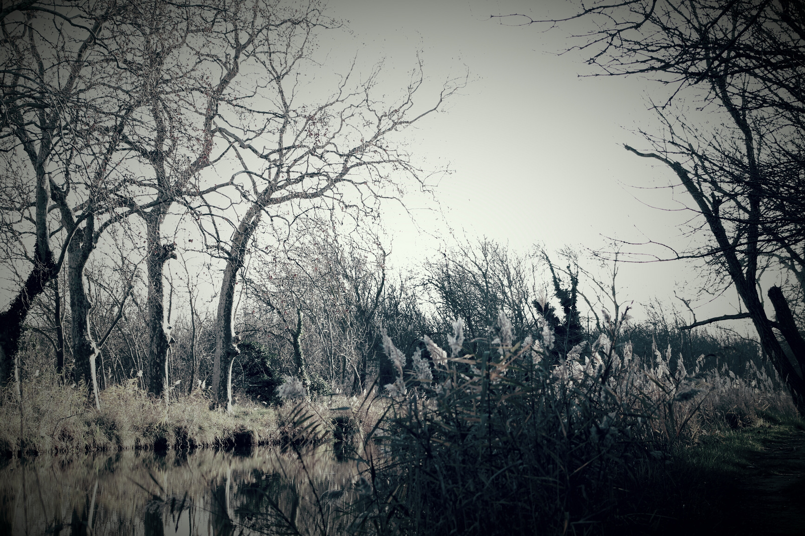 Canal du midi 