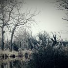 Canal du midi 