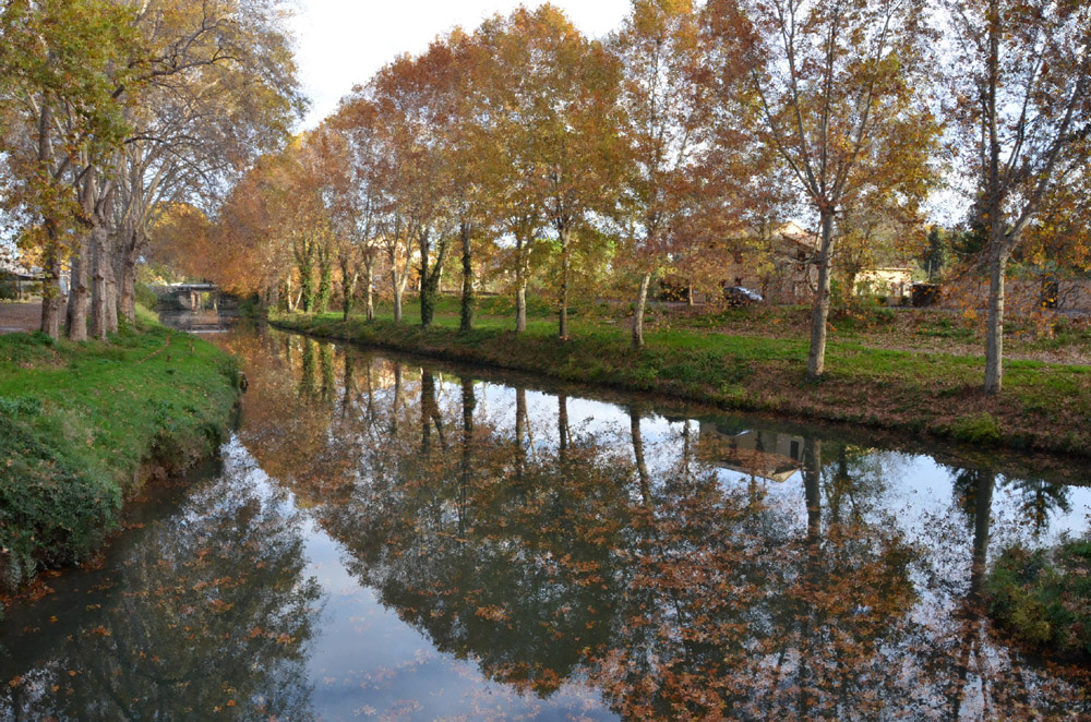 Canal du Midi à l'automne