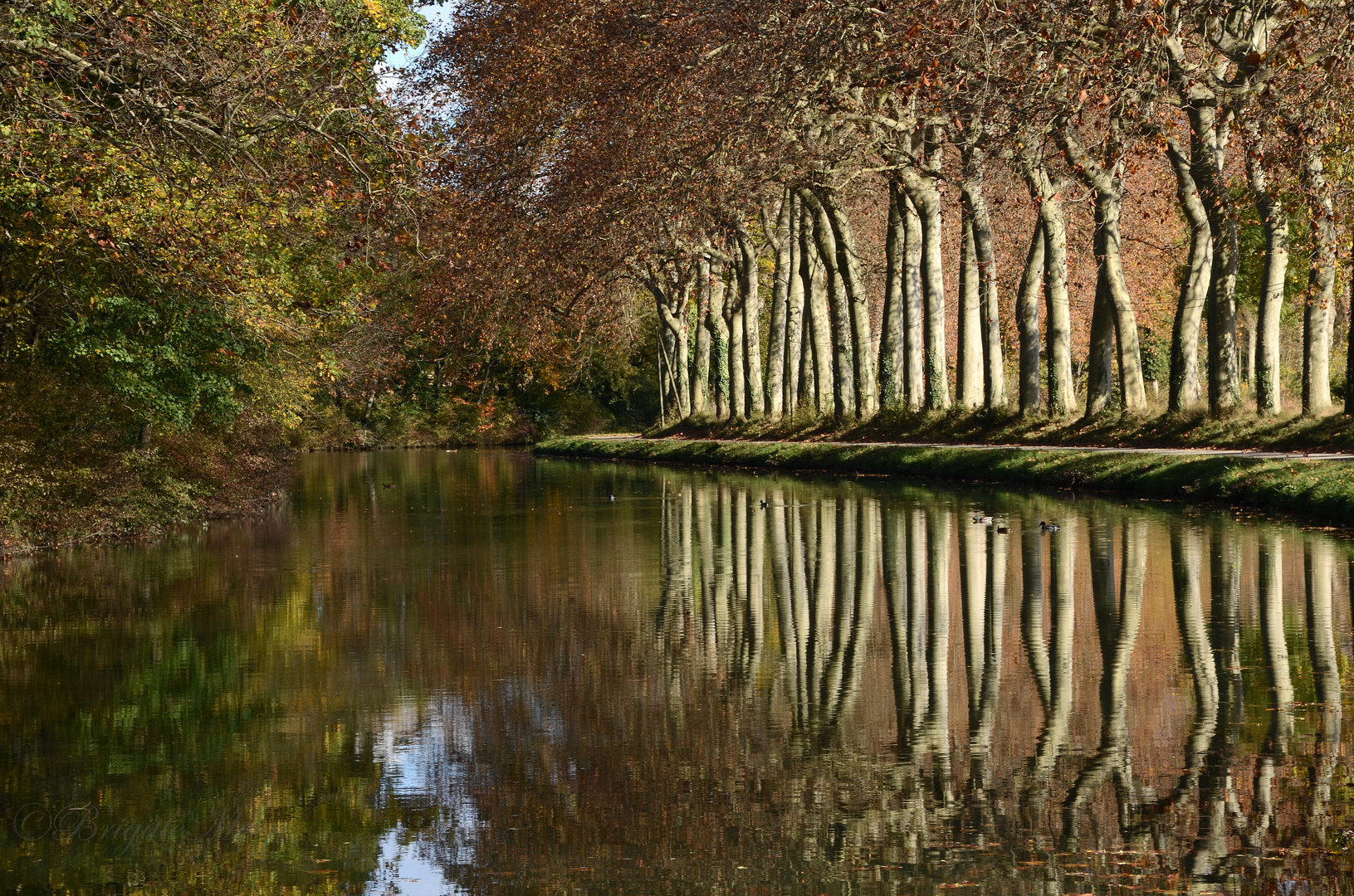 canal du midi