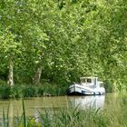 Canal du Midi, avec ses platanes été 2013