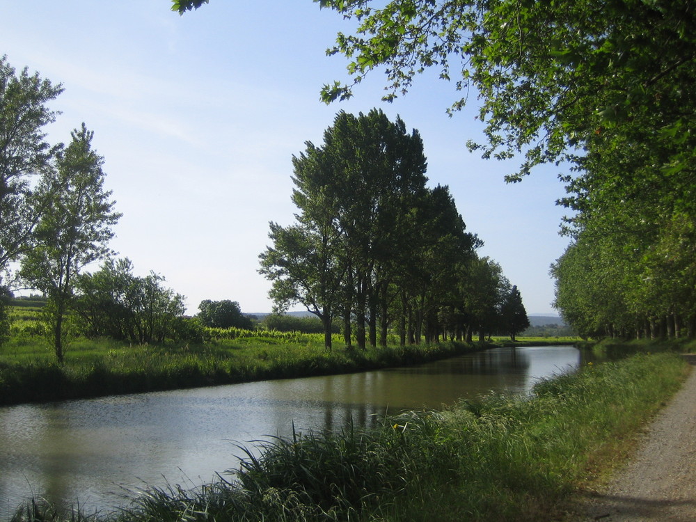 Canal du midi bei Le Somail