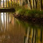 canal du midi