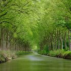 Canal du Midi .... (désolée d'avoir oublié le titre)