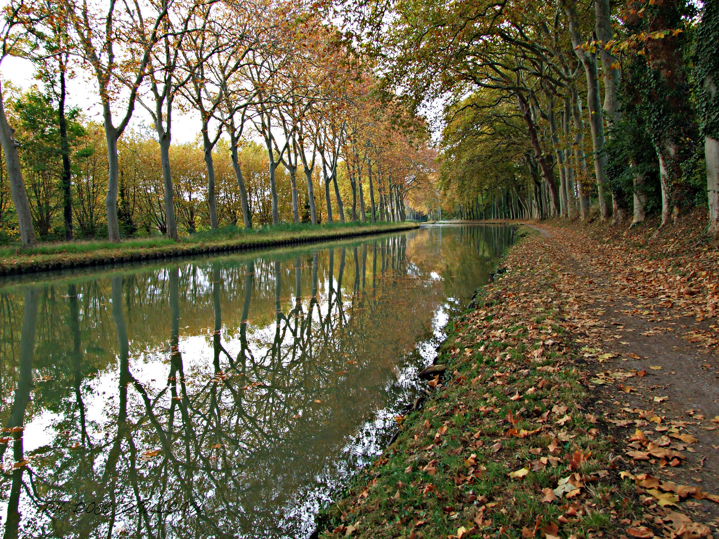 Canal du midi en automne photo et image paysages, lacs, rivières