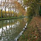 Canal du midi en automne