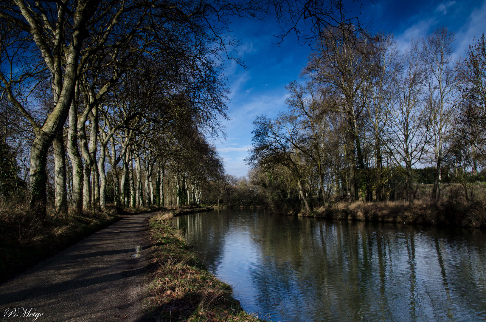 canal du midi en hiver