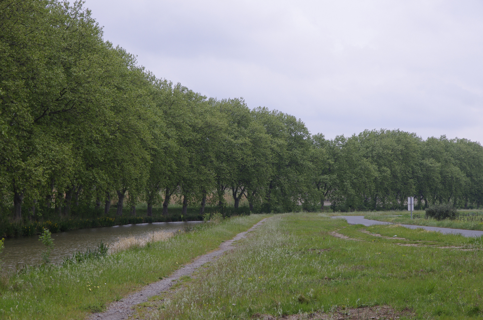 Canal du Midi in Richtung Le Somail