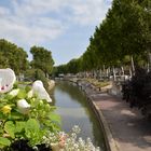 Canal du Midi Narbonne