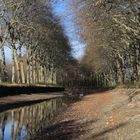 canal du midi sans eau ?????