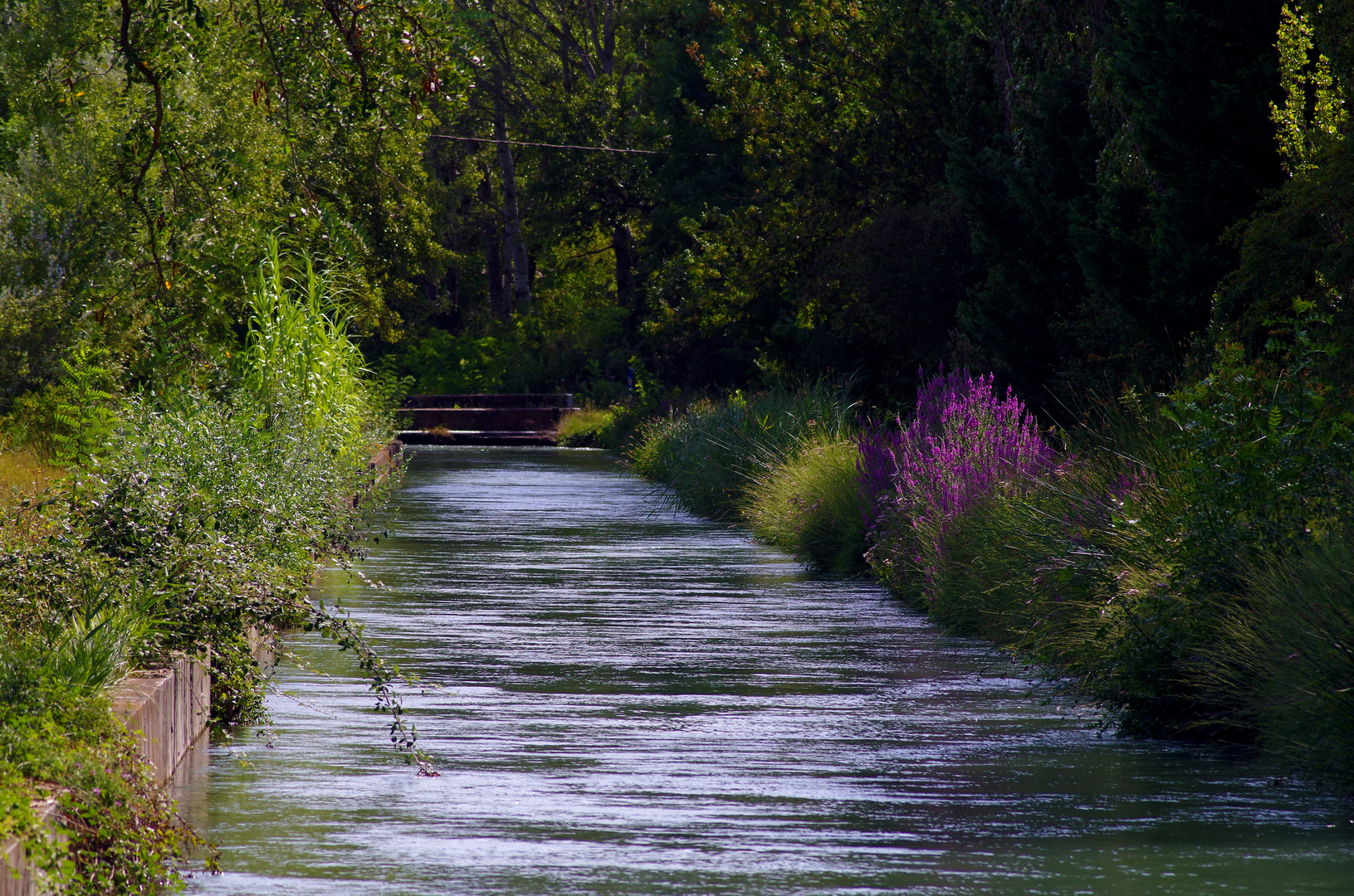 Canal du Plan et de la Crau