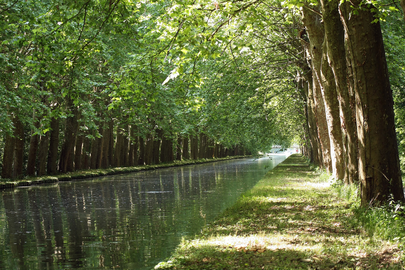 "Canal du Rhone au Rhin" Rhein-Fahrradtour 10