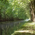 "Canal du Rhone au Rhin" Rhein-Fahrradtour 10