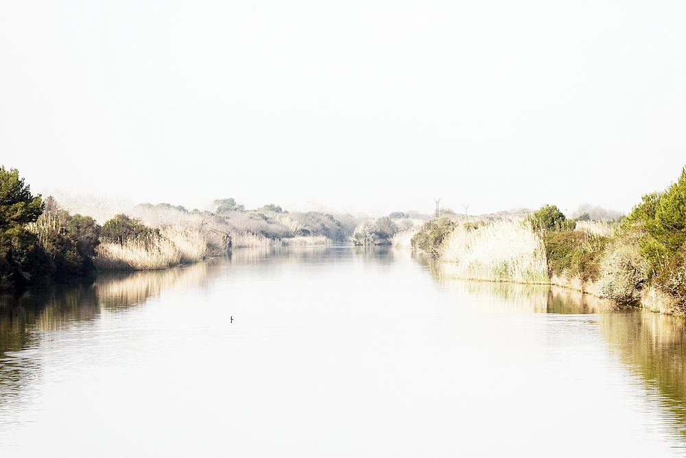 Canal Gran de s’Albufera