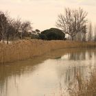 Canal Imperial de Aragón