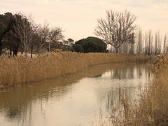 Canal Imperial de Aragón