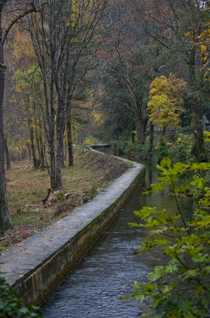 canal in autumn