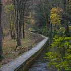 canal in autumn