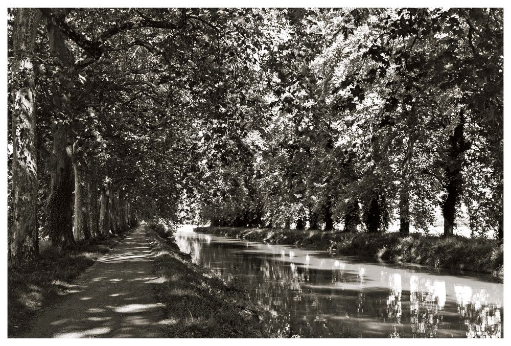 Canal Latéral á la Garonne