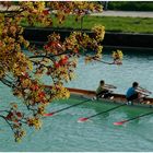 Canal latéral de la Marne