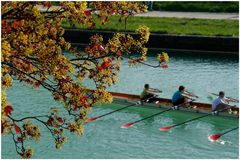 Canal latéral de la Marne