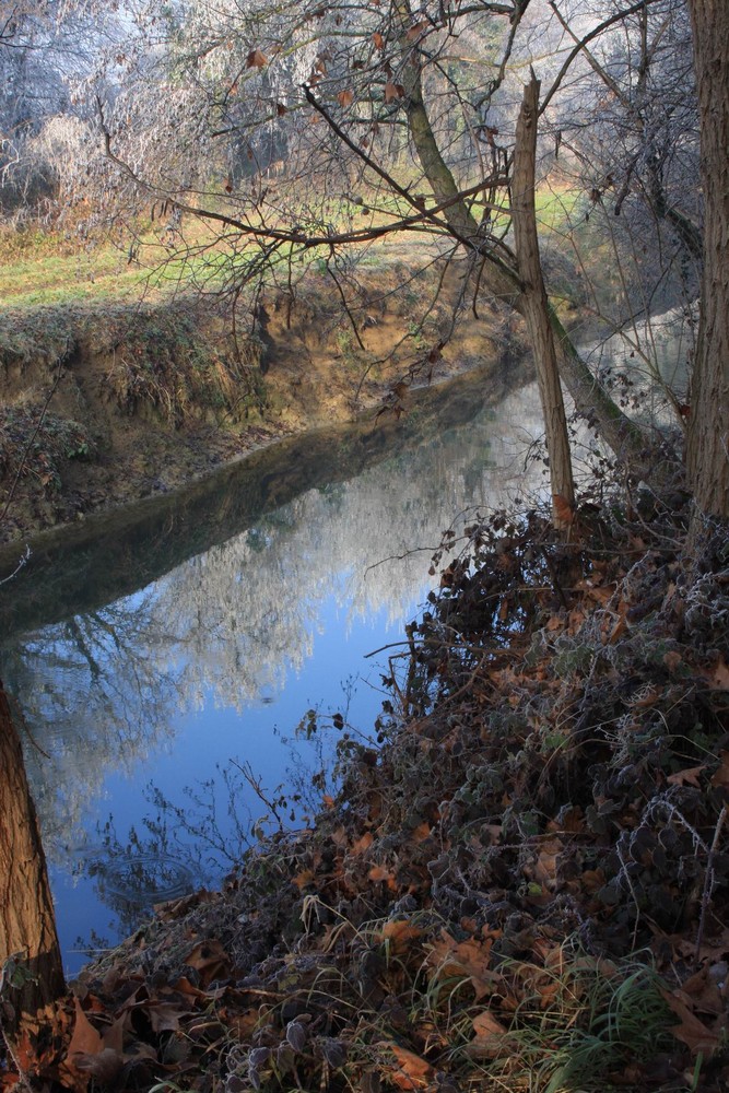 canale civico