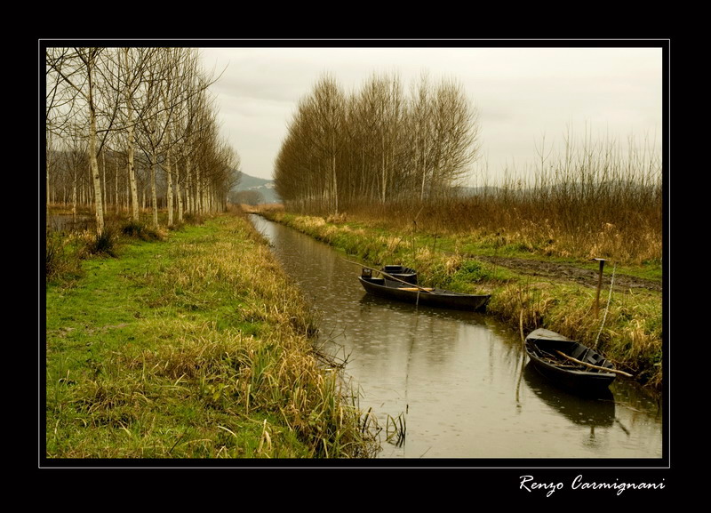 Canale di padule (Ponte Buggianese)