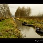 Canale di padule (Ponte Buggianese)